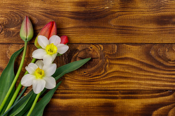 Bouquet of daffodils and red tulips on wooden background. Greeting card for Easter, Valentine's Day, Women's Day and Mother's Day. Top view, copy space