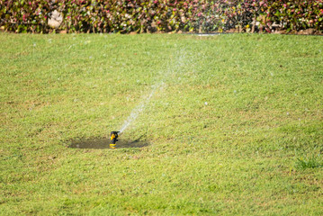 Automatic sprinkler system watering the lawn on a background of green grass.Thailand.