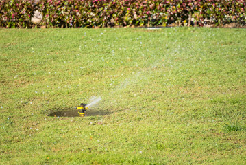 Automatic sprinkler system watering the lawn on a background of green grass.Thailand.