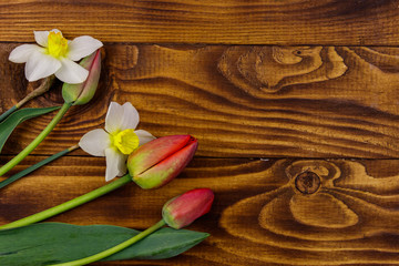 Bouquet of daffodils and red tulips on wooden background. Greeting card for Easter, Valentine's Day, Women's Day and Mother's Day. Top view, copy space