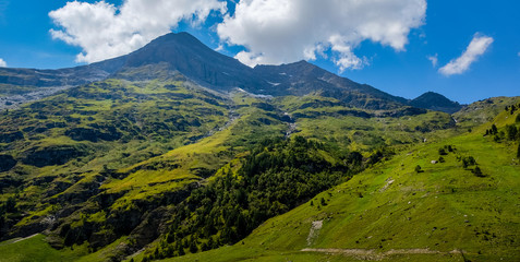 Mountain top in Swiss Alps in summer