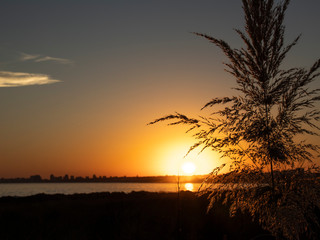 Obraz premium Uruguay