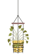 houseplant on macrame hangers icon