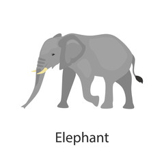 Elephant color vector icon. Flat design