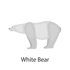 Polar bear color vector icon. Flat design