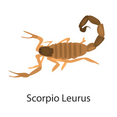 Scorpion leurus color vector icon. Flat design