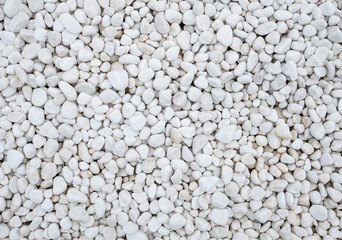 a background of many large and small white stones