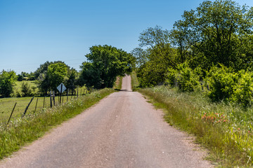 Texas Country Road