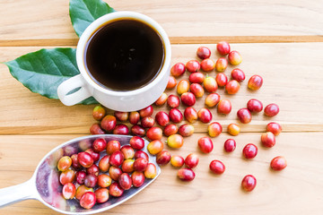Red ripe coffee beans