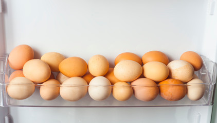 pack of eggs in the refrigerator