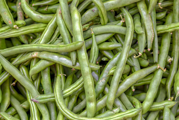A bunch of green beans. Photographed at the local traditional market of the colonial town of Villa de Leyva in the Andean mountains of central Colombia.