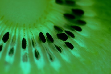 Slice of the kiwi fruit