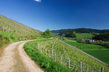 Südbaden im Frühling