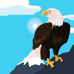 beautiful bald eagle animal in snowscape
