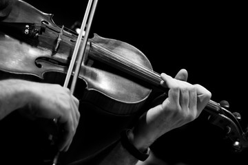 Violin in the hands of a musician close-up in black and white