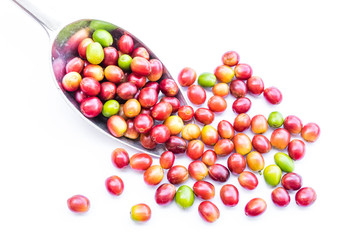 Red ripe coffee beans