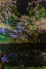 春のライトアップされた弘前城跡の風景