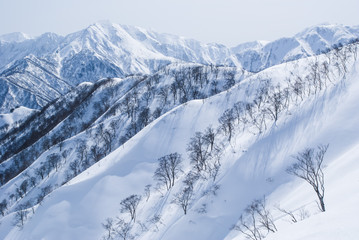 Fototapeta na wymiar Mountain of Joetsu from Mt.Takamatagi, - 新潟県谷川連峰・タカマタギ山から望む上越の冬山