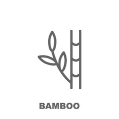 Bamboo icon. Element of row matterial icon. Thin line icon for website design and development, app development. Premium icon