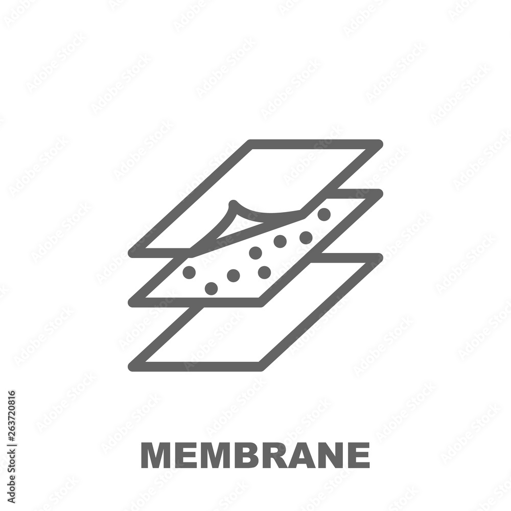 Poster membrane icon. element of row matterial icon. thin line icon for website design and development, app