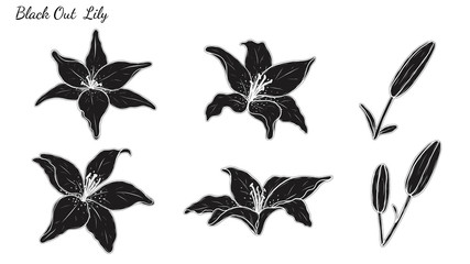 Set of Lily vector by hand drawing.Beautiful flower on white background.Black out art highly detailed in line art style.Asiatic Lily tattoo for paint or pattern.