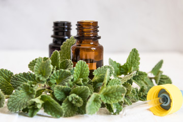 A bottle of mint essential oil with fresh mint leaves in the foreground.