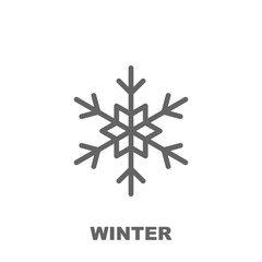 Winter icon. Element of row matterial icon. Thin line icon for website design and development, app development. Premium icon