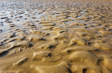 View of the sandy seabed at low tide.