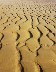 Sandy seabed after low tide