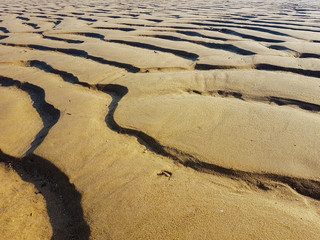 Traces of waves in the sand.