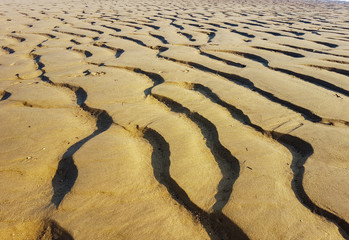 Traces of waves in the sand