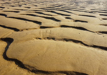 Traces of waves in the sand