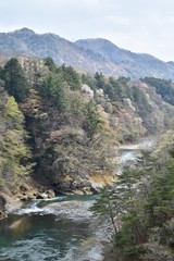 Fototapeta na wymiar 新緑の鬼怒川