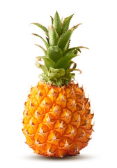 Fresh ripe whole and cut baby Pineapple with slices and leaves