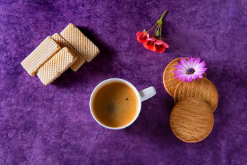Cup with coffee and cookies over purple rough background.