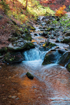 brook with cascade in beech forest. beautiful nature background in autumn season. colorful scenery, long exposure