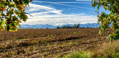 plowed field in the countryside, Pyrenees mountains in background