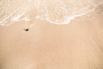 Wave of the sea reaching the shore of the beach