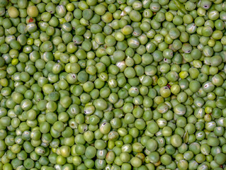 A heap of green peas. Photographed at the local traditional market of the colonial town of Villa de Leyva in the Andean mountains of central Colombia.
