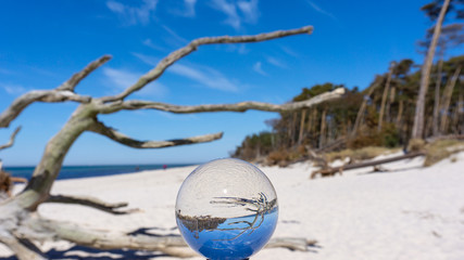 Wunderschöner weißer Ostsee-Strand auf dem Darß unter blauem Himmel in Glaskugel - Lensball...