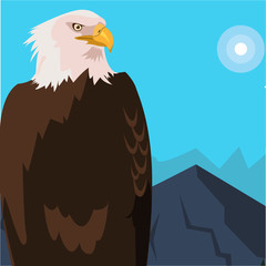 beautiful bald eagle animal in snowscape