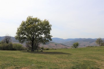 Le Mont Brouilly et ses vignes à Saint Lager située dans le Beaujolais - Département du Rhône - FRance