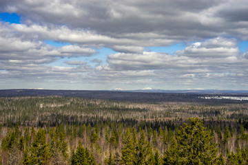  View of the endless Ural taiga