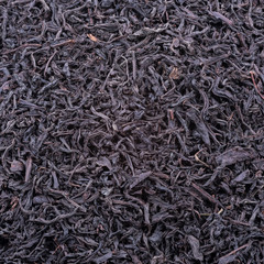 Background of dried tea leaves of dark color. Macro.