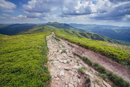 Hiking trail from Orlowicz mountain pass to Smerek mountain in Bieszczady National Park, Poland