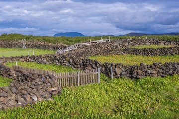 Fototapeta na wymiar Old stony pens for sheeps on the edge of Reykjahlid town in Myvatn region, located in north part of Iceland
