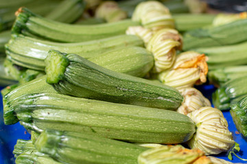 Young zucchini vegetables with yellow flowers on farmer market