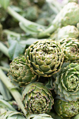 Fototapeta premium Bunch of fresh raw artichokes heads from artichoke plantation in Argolida, Greece on argicultural market in Nafplio