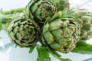 Obraz premium Bunch of fresh raw artichokes heads from artichoke plantation in Argolida, Greece ready to cook