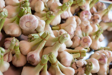 Bulbs of young new fresh garlic on market close up